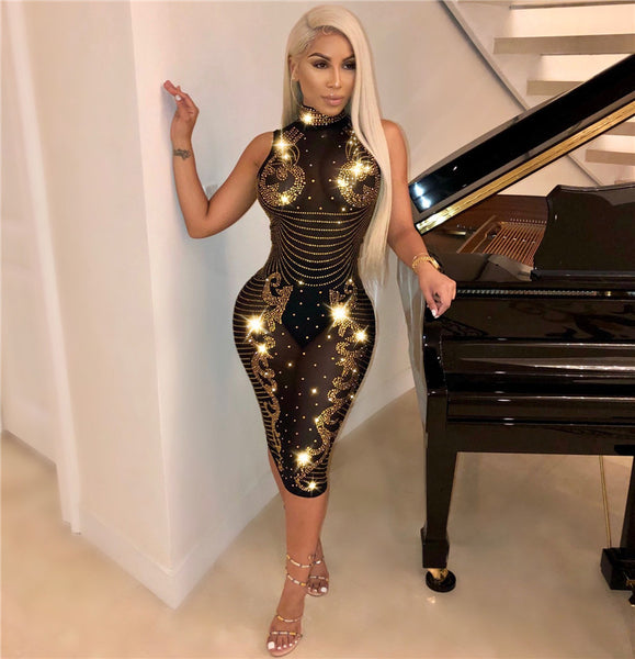 Clubwear Sexy Sheer Mesh Dress