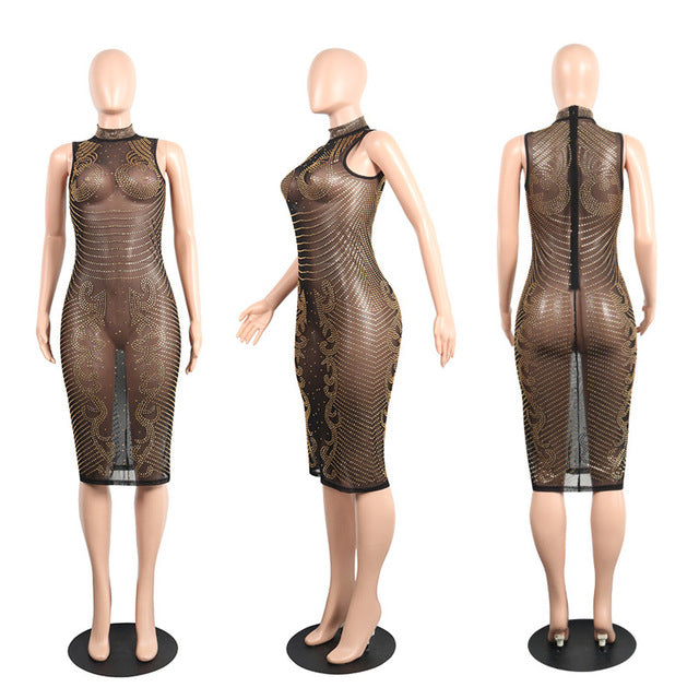 Clubwear Sexy Sheer Mesh Dress